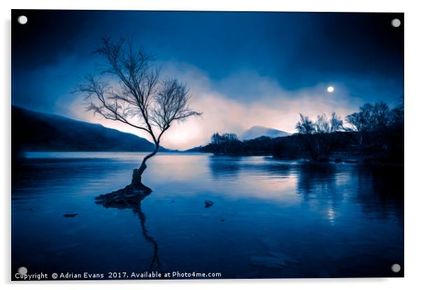 Padarn Tree llanberis Snowdonia Acrylic by Adrian Evans