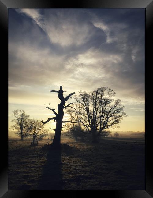 Totem Tree Framed Print by Simon Wrigglesworth
