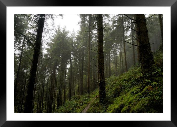Cardinham Woods Framed Mounted Print by Rob Booth