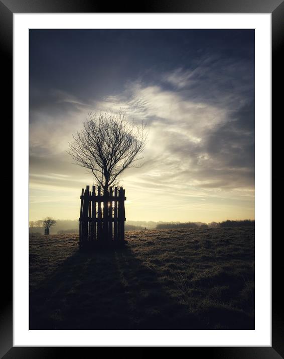 Standing Alone Framed Mounted Print by Simon Wrigglesworth