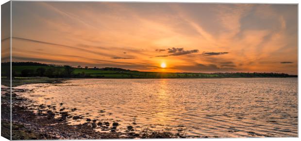 The beauty of Budle Bay Canvas Print by Naylor's Photography