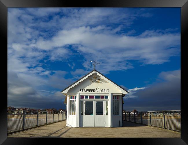 Seaweed & Salt on Southwold Pier Framed Print by Donnie Canning