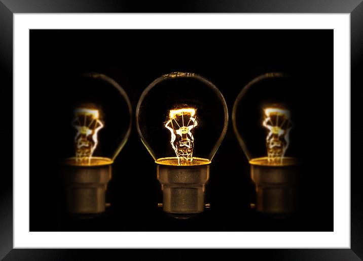 Bayonet  bulb and reflection Framed Mounted Print by Donnie Canning