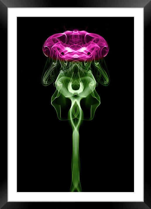 Smoke art Thistle Framed Mounted Print by Donnie Canning