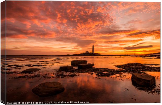 Fire in the sky St marys Lighthouse Canvas Print by david siggens
