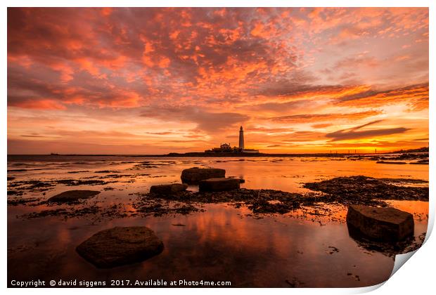 Fire in the sky St marys Lighthouse Print by david siggens