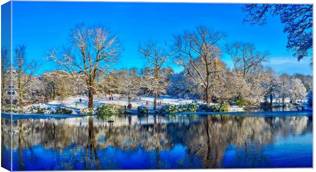 Park in Winter  Canvas Print by Victor Burnside