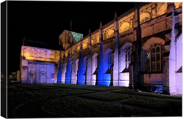 Winchester Cathedral Canvas Print by Tony Bates