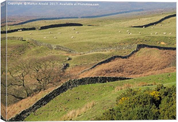 Stone Walls Snaking Over the Yorkshire Moors Canvas Print by Martyn Arnold