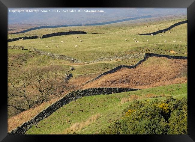 Stone Walls Snaking Over the Yorkshire Moors Framed Print by Martyn Arnold