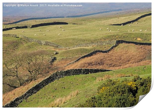 Stone Walls Snaking Over the Yorkshire Moors Print by Martyn Arnold