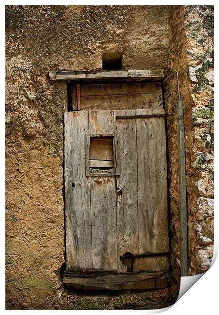 The Rustic Door Print by Jacqi Elmslie