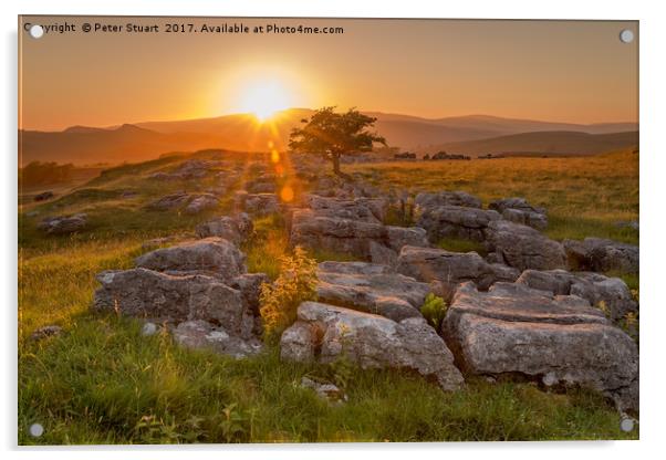 Sunset over Winskill Stones at Langcliffe, Yorkshi Acrylic by Peter Stuart