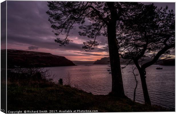 The entrance to Loch Portree Canvas Print by Richard Smith