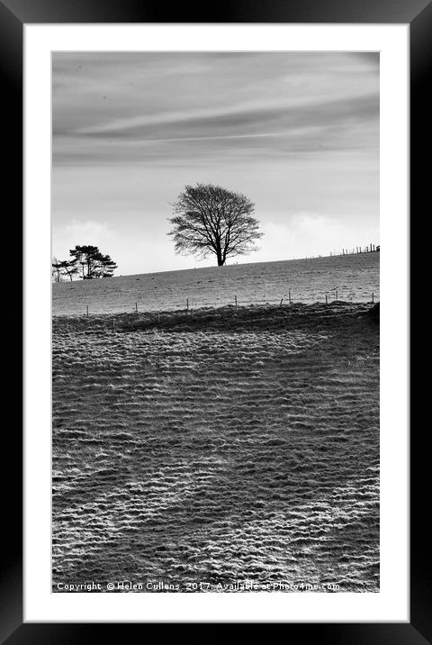 Tree on the Skyline                                Framed Mounted Print by Helen Cullens