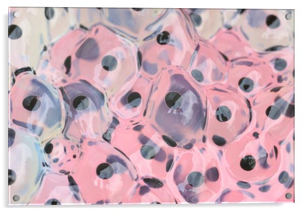 frogspawn  Acrylic by chris smith