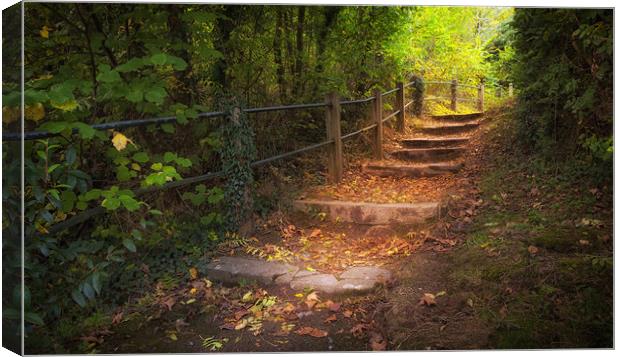 Autumn forest steps Canvas Print by Leighton Collins