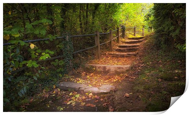 Autumn forest steps Print by Leighton Collins