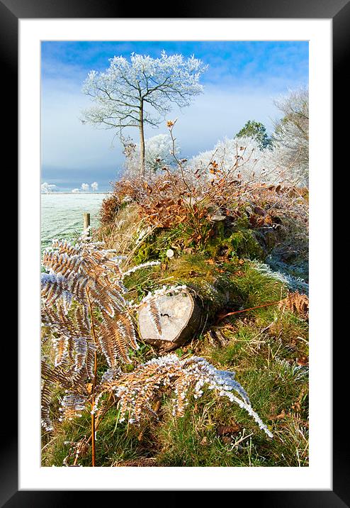 Frost on the hedgerows Framed Mounted Print by Rob Hawkins