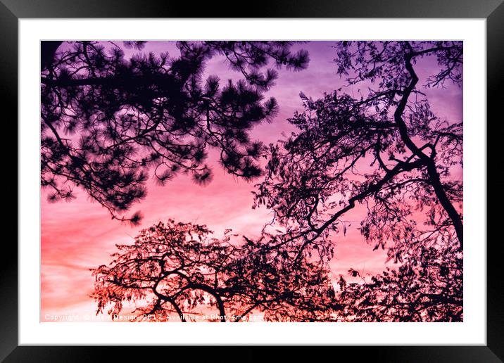 Sunset Silhouette Framed Mounted Print by Kasia Design