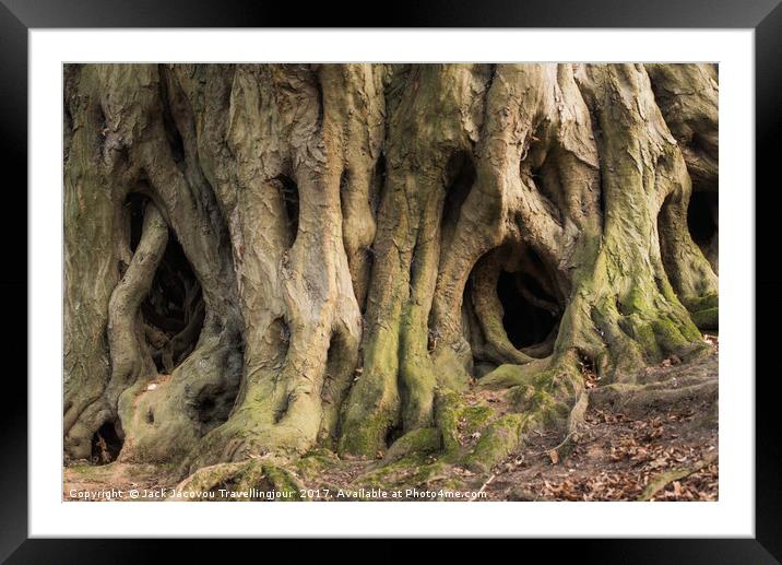 Scary tree roots  Framed Mounted Print by Jack Jacovou Travellingjour