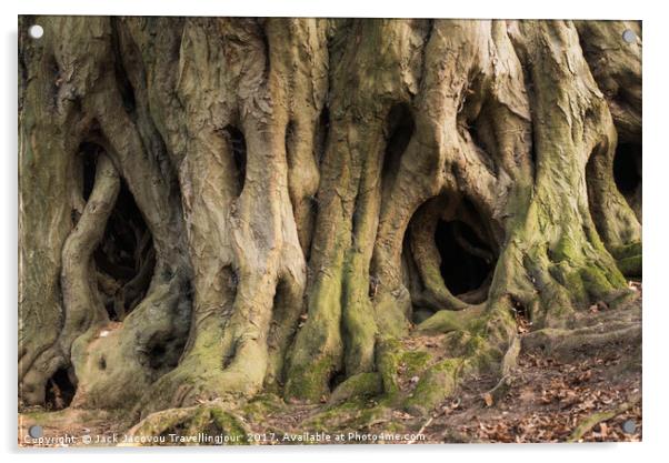 Scary tree roots  Acrylic by Jack Jacovou Travellingjour