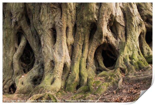 Scary tree roots  Print by Jack Jacovou Travellingjour