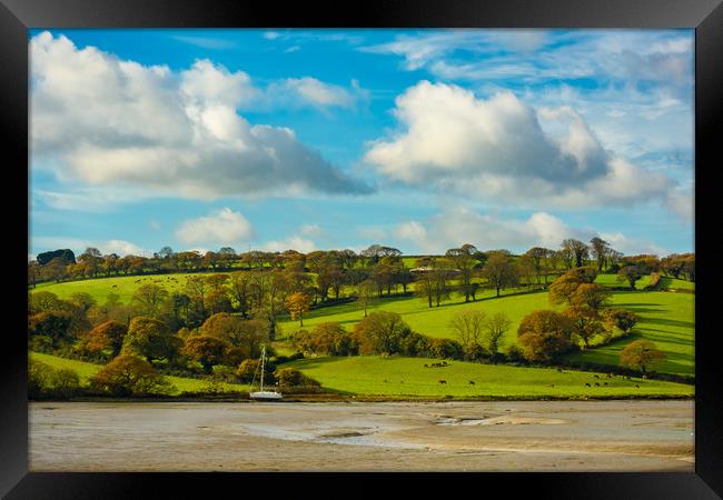 A Cornish pastoral Framed Print by Michael Brookes
