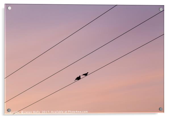 Pair of pigeons on a telegraph wire Acrylic by Jason Wells