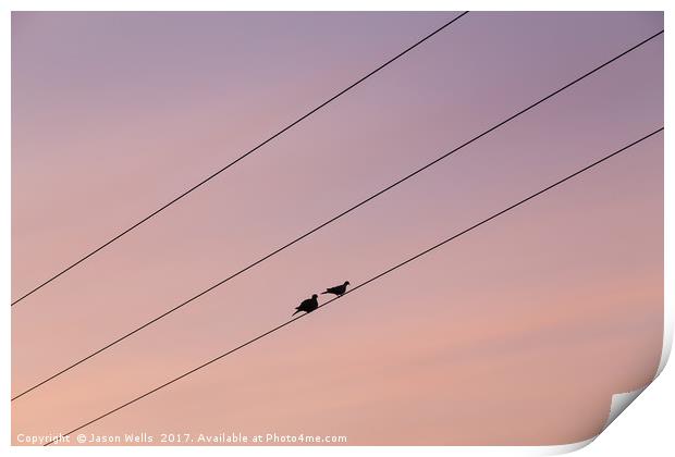 Pair of pigeons on a telegraph wire Print by Jason Wells