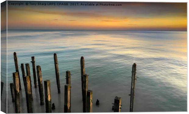 GUARDIANS Canvas Print by Tony Sharp LRPS CPAGB