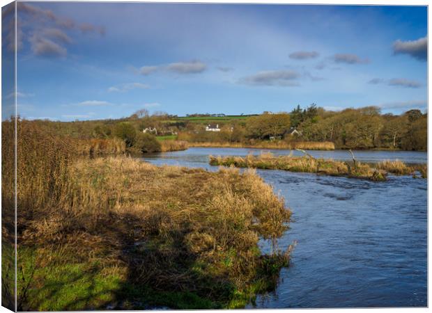 Teifi Marshes, Pembrokeshire, Wales, UK Canvas Print by Mark Llewellyn