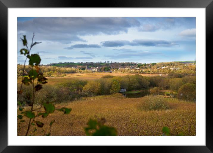 Cardigan Marshes, Pembrokeshire, Wales, UK Framed Mounted Print by Mark Llewellyn