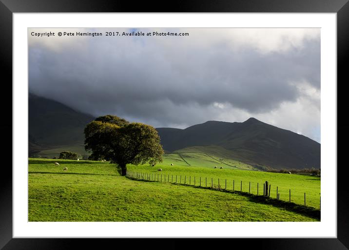 A lone tree at the back of Skiddaw Framed Mounted Print by Pete Hemington