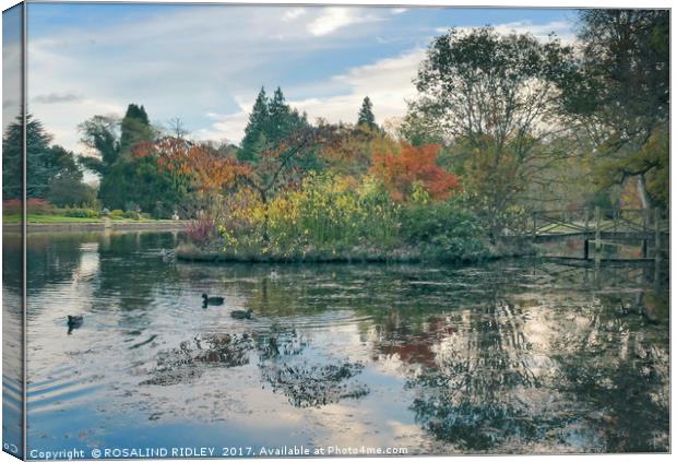 "Reflections at the lake Thorp Perrow" Canvas Print by ROS RIDLEY
