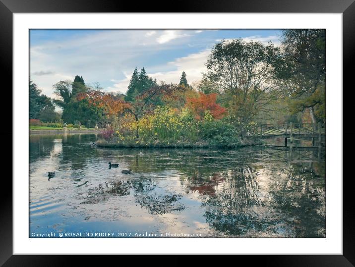 "Reflections at the lake Thorp Perrow" Framed Mounted Print by ROS RIDLEY