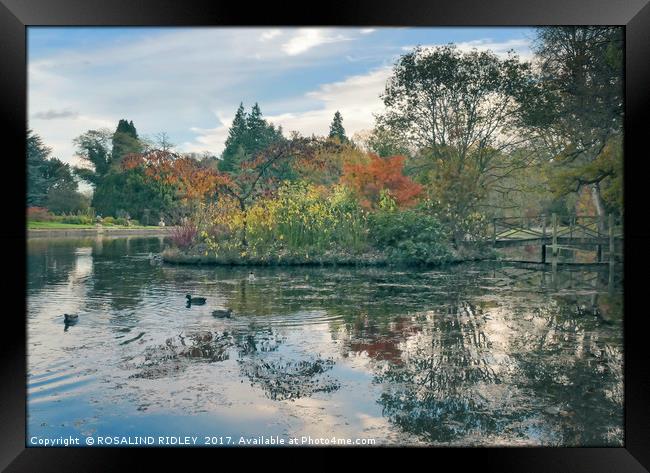 "Reflections at the lake Thorp Perrow" Framed Print by ROS RIDLEY