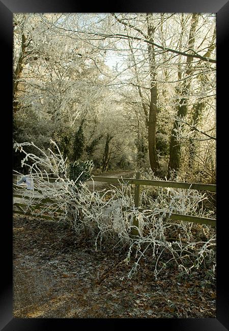 Rocky Lane, Kenilworth Framed Print by Gill Allcock