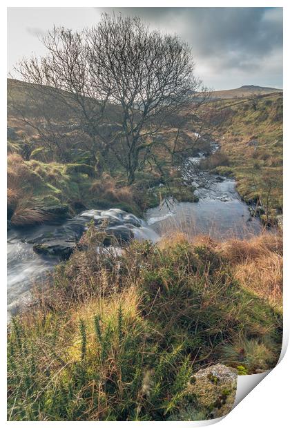 Black Tor Waterfall Print by Images of Devon