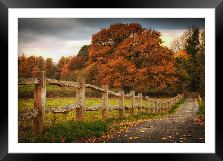 Rustic wooden fence Framed Mounted Print by Leighton Collins