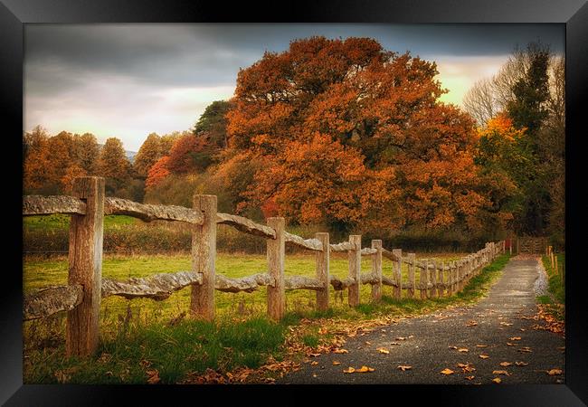 Rustic wooden fence Framed Print by Leighton Collins