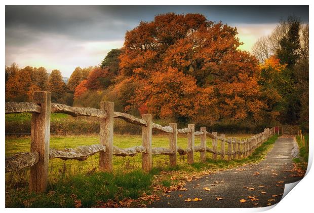 Rustic wooden fence Print by Leighton Collins