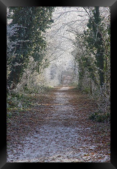 Kenilworth Walks Framed Print by Gill Allcock