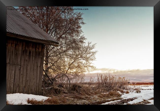 Winter Sun Sets Behind an Old Barn House Framed Print by Jukka Heinovirta
