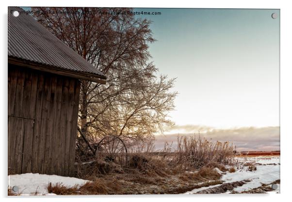 Winter Sun Sets Behind an Old Barn House Acrylic by Jukka Heinovirta