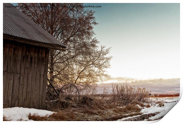 Winter Sun Sets Behind an Old Barn House Print by Jukka Heinovirta