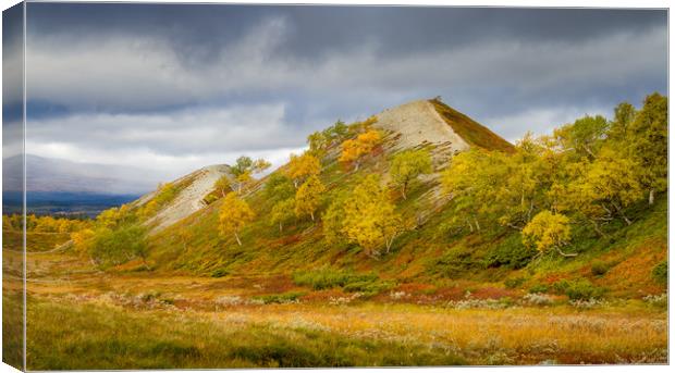 Pyramids of Sweden Canvas Print by Hamperium Photography