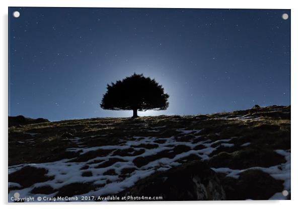 Lone tree under moonlight Acrylic by Craig McComb