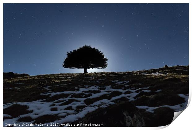 Lone tree under moonlight Print by Craig McComb
