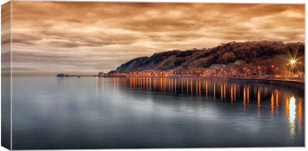 Mumbles in the morning Canvas Print by Leighton Collins